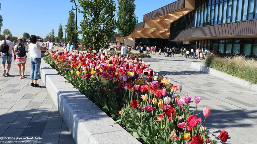Keukenhof in Lisse Niederlande -Nordsee