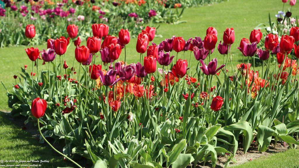 Keukenhof in Lisse Niederlande -Nordsee