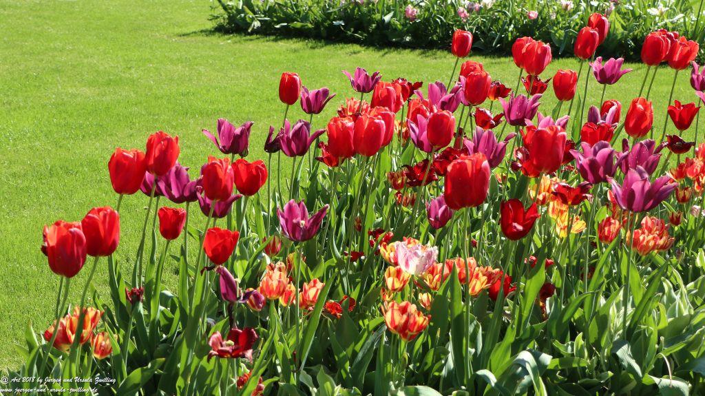 Keukenhof in Lisse Niederlande -Nordsee
