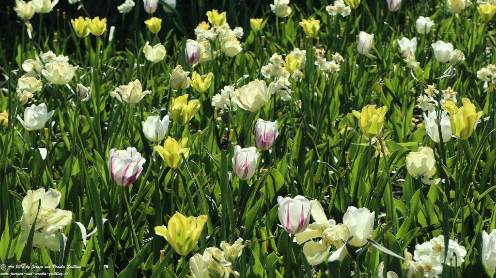 Keukenhof in Lisse Niederlande -Nordsee