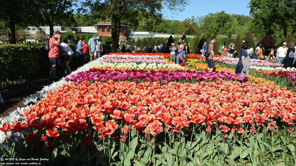 Keukenhof in Lisse Niederlande -Nordsee