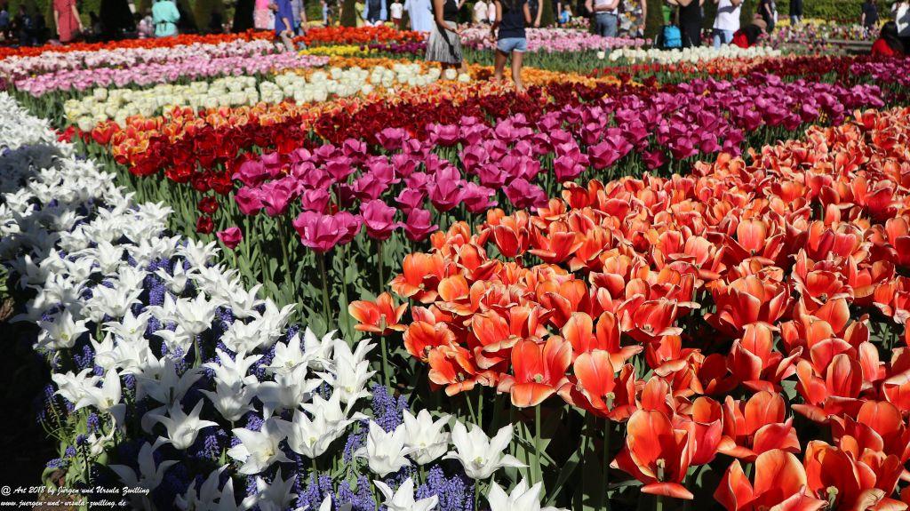 Keukenhof in Lisse Niederlande -Nordsee
