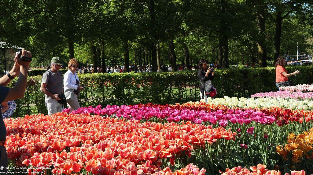 Keukenhof in Lisse Niederlande -Nordsee