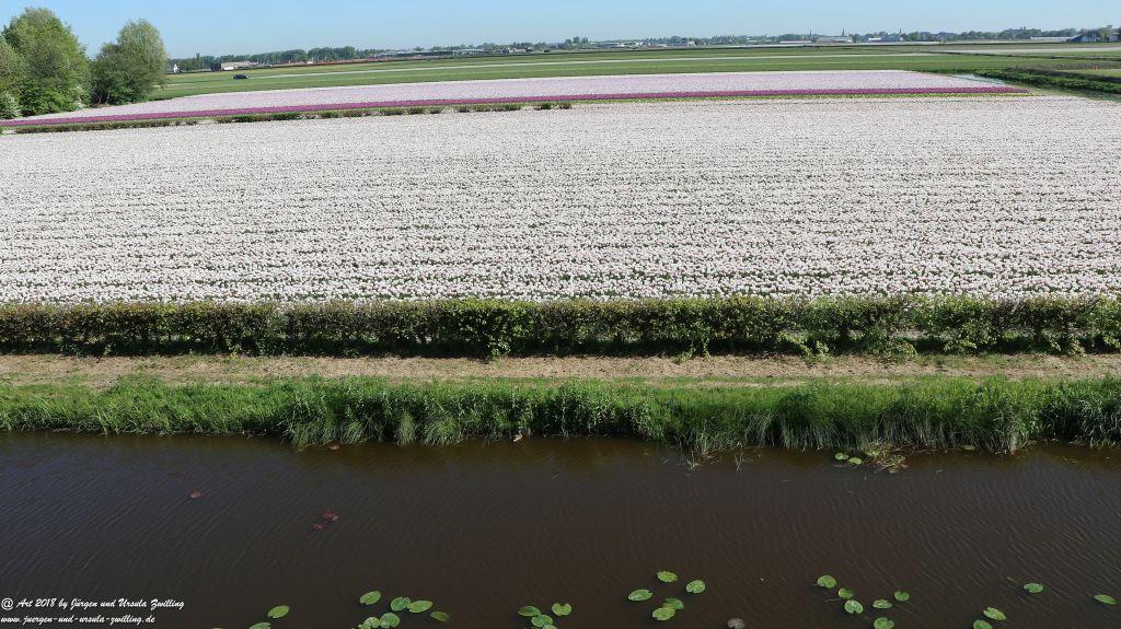 Keukenhof in Lisse Niederlande -Nordsee