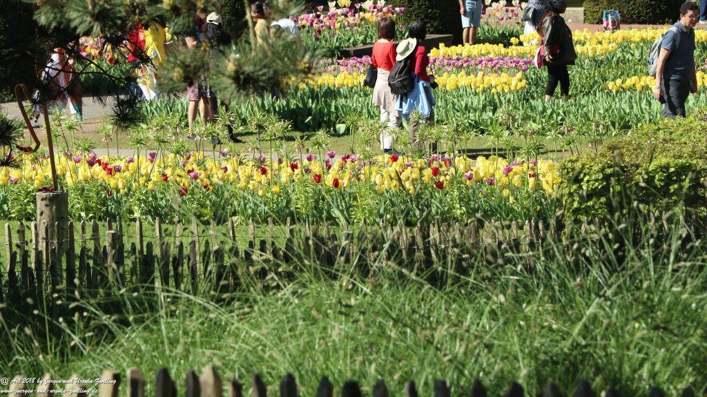 Keukenhof in Lisse Niederlande -Nordsee
