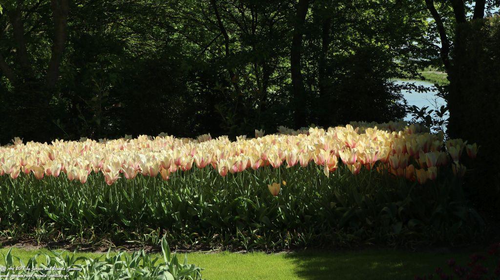 Keukenhof in Lisse Niederlande -Nordsee