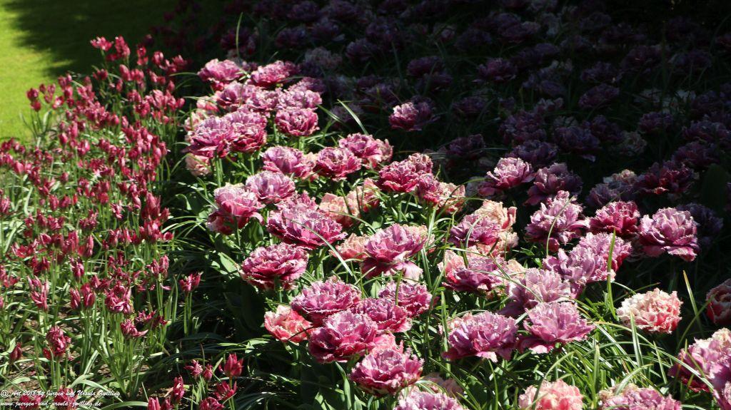 Keukenhof in Lisse Niederlande -Nordsee