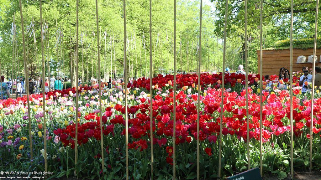 Keukenhof in Lisse Niederlande -Nordsee