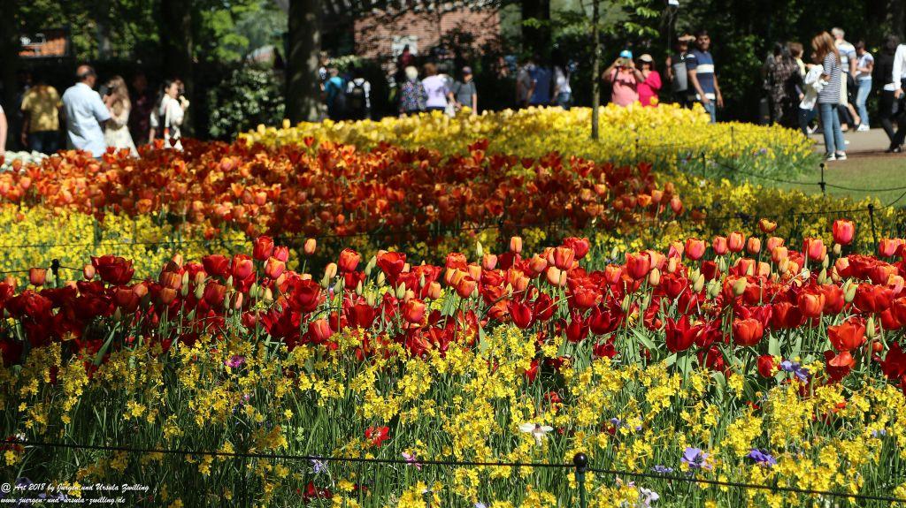 Keukenhof in Lisse Niederlande -Nordsee
