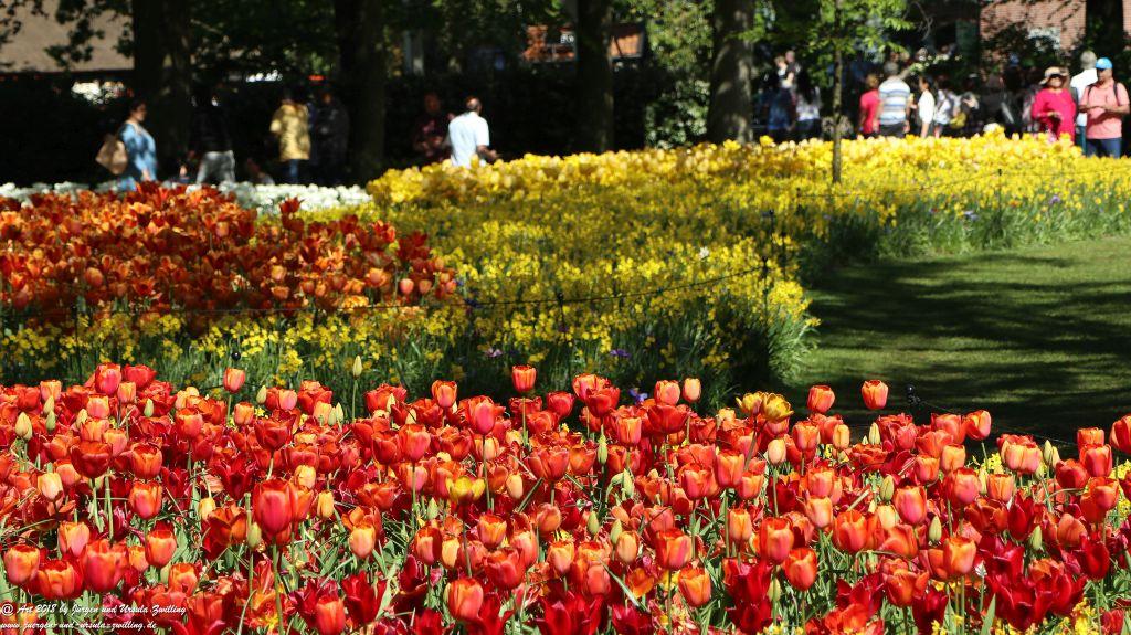 Keukenhof in Lisse Niederlande -Nordsee