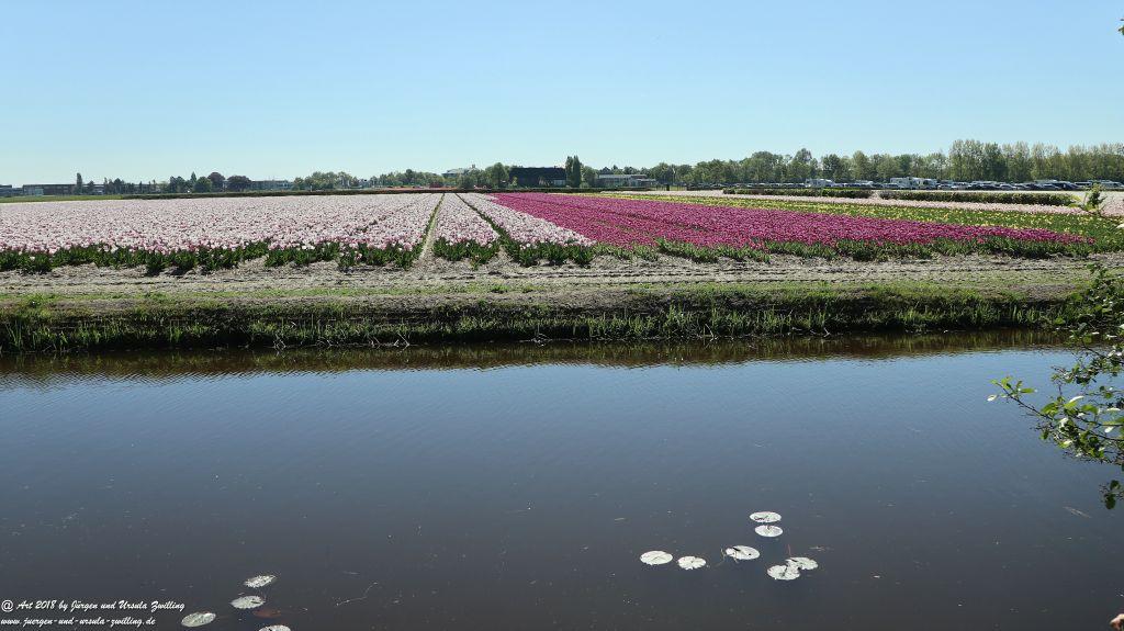 Keukenhof in Lisse Niederlande -Nordsee