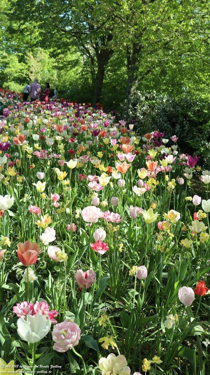 Keukenhof in Lisse Niederlande -Nordsee