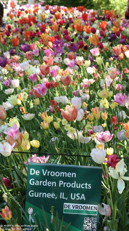 Keukenhof in Lisse Niederlande -Nordsee