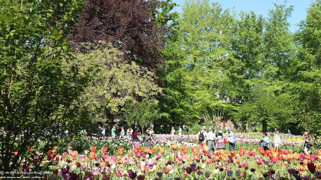 Keukenhof in Lisse Niederlande -Nordsee