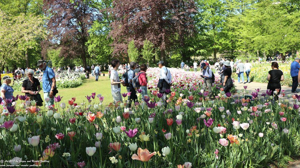 Keukenhof in Lisse Niederlande -Nordsee