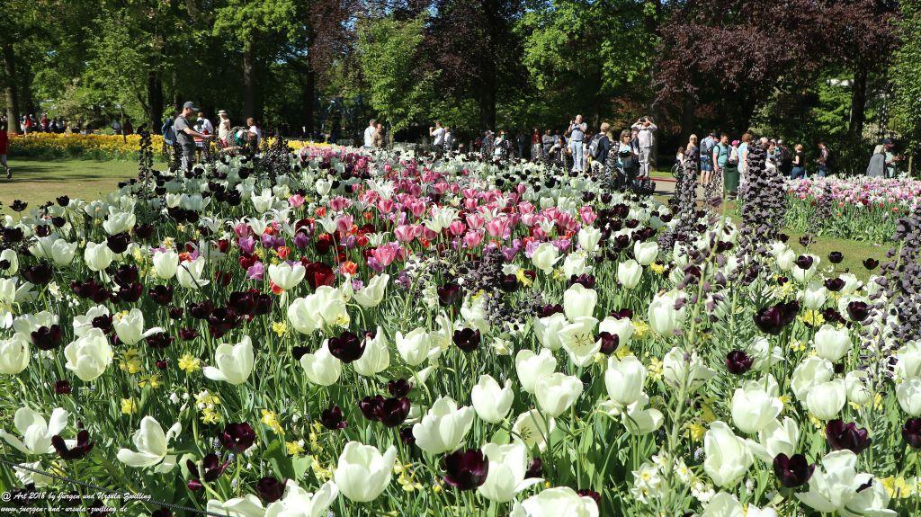 Keukenhof in Lisse Niederlande -Nordsee