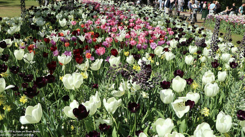 Keukenhof in Lisse Niederlande -Nordsee