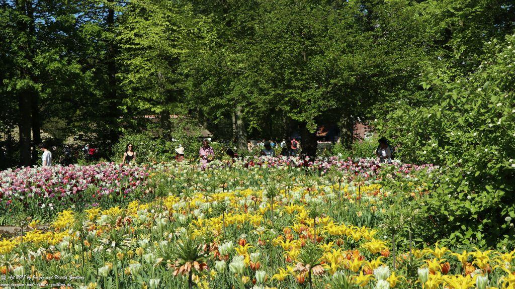 Keukenhof in Lisse Niederlande -Nordsee