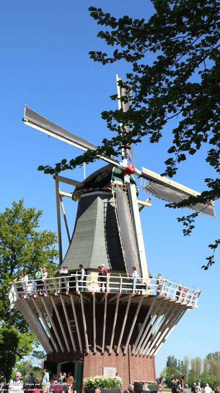 Keukenhof in Lisse Niederlande -Nordsee
