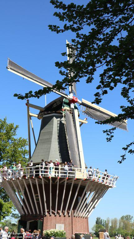 Keukenhof in Lisse Niederlande -Nordsee