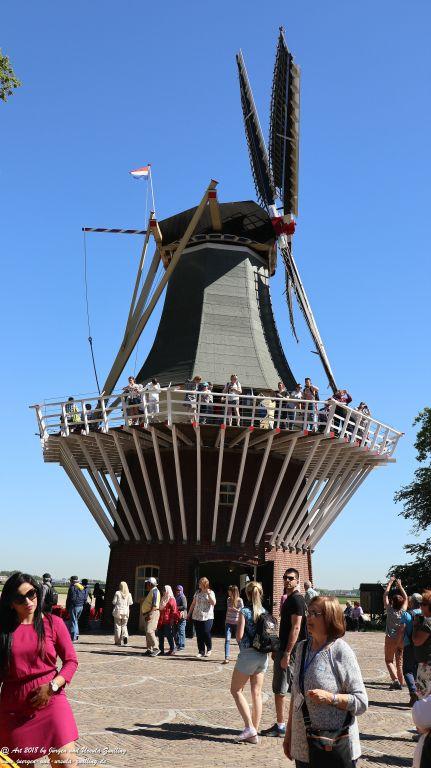 Keukenhof in Lisse Niederlande -Nordsee