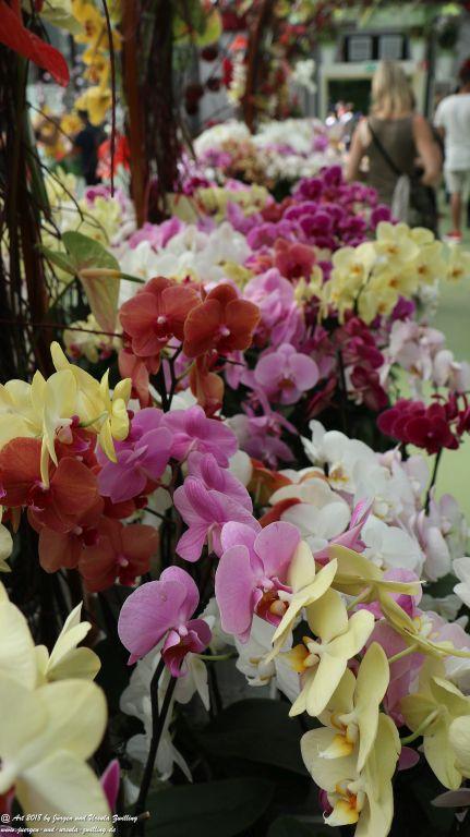 Keukenhof in Lisse Niederlande -Nordsee