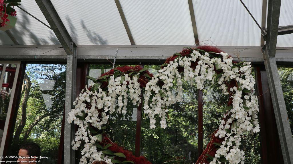 Keukenhof in Lisse Niederlande -Nordsee