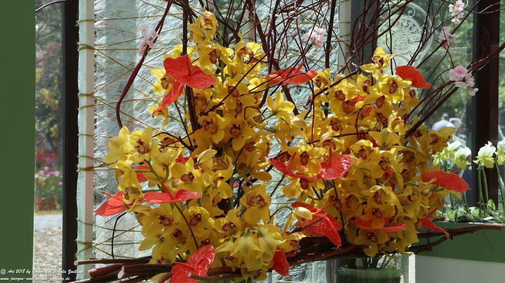 Keukenhof in Lisse Niederlande -Nordsee