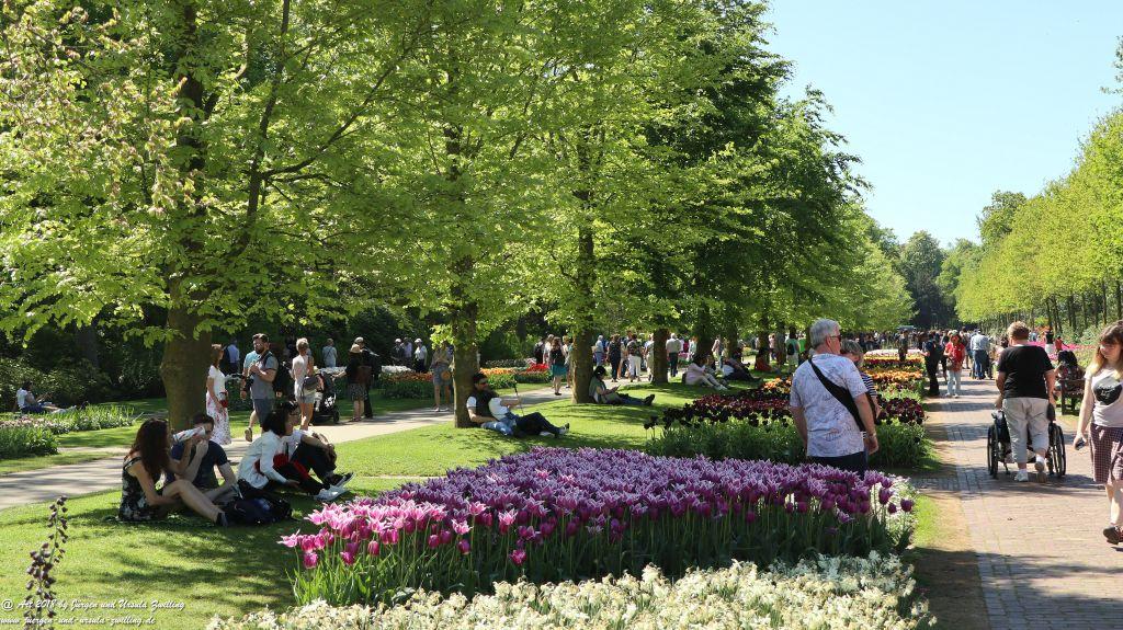 Keukenhof in Lisse Niederlande -Nordsee