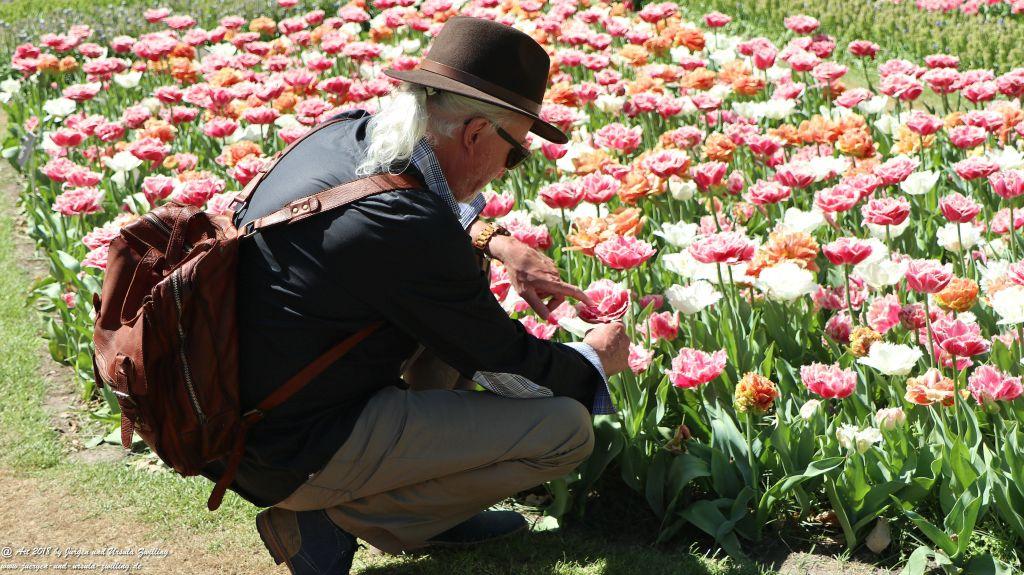 Keukenhof in Lisse Niederlande -Nordsee