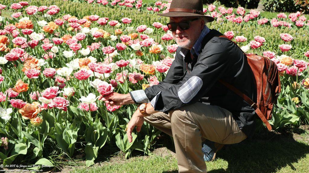 Keukenhof in Lisse Niederlande -Nordsee
