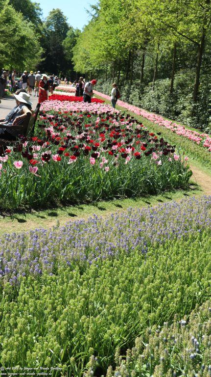 Keukenhof in Lisse Niederlande -Nordsee