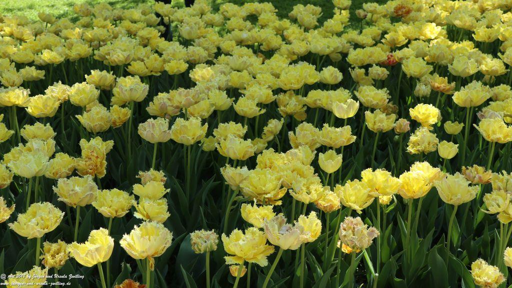 Keukenhof in Lisse Niederlande -Nordsee