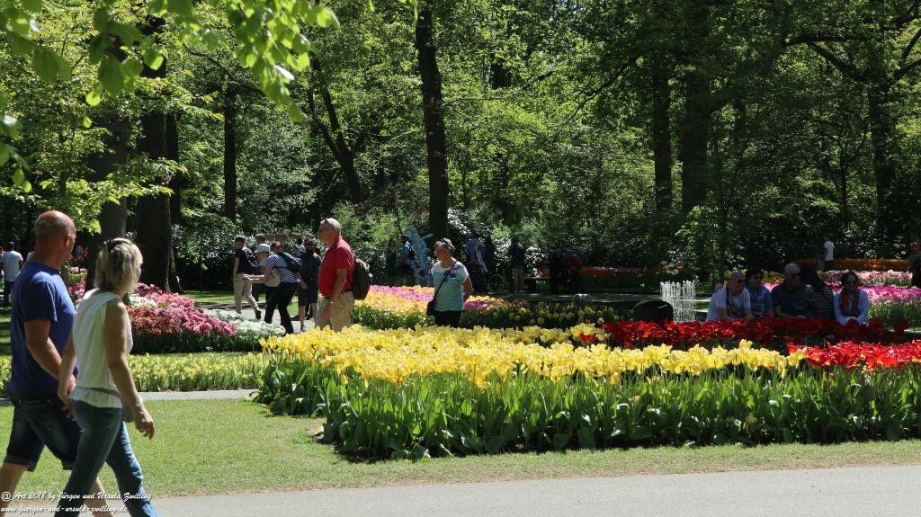 Keukenhof in Lisse Niederlande -Nordsee