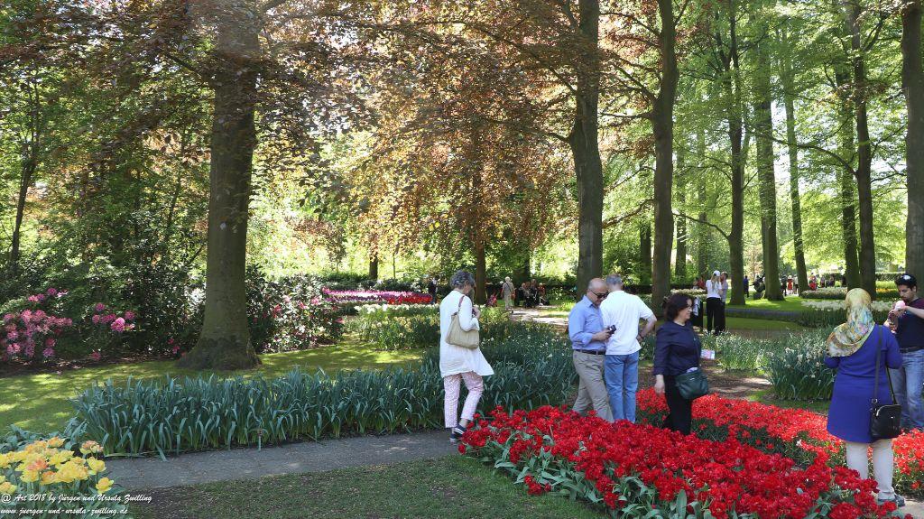 Keukenhof in Lisse Niederlande -Nordsee