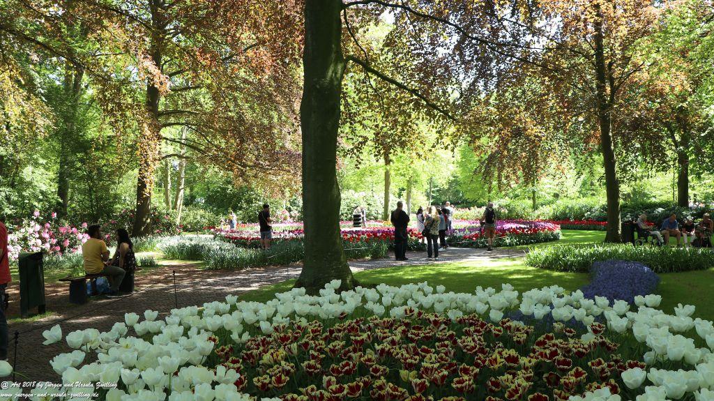 Keukenhof in Lisse Niederlande -Nordsee