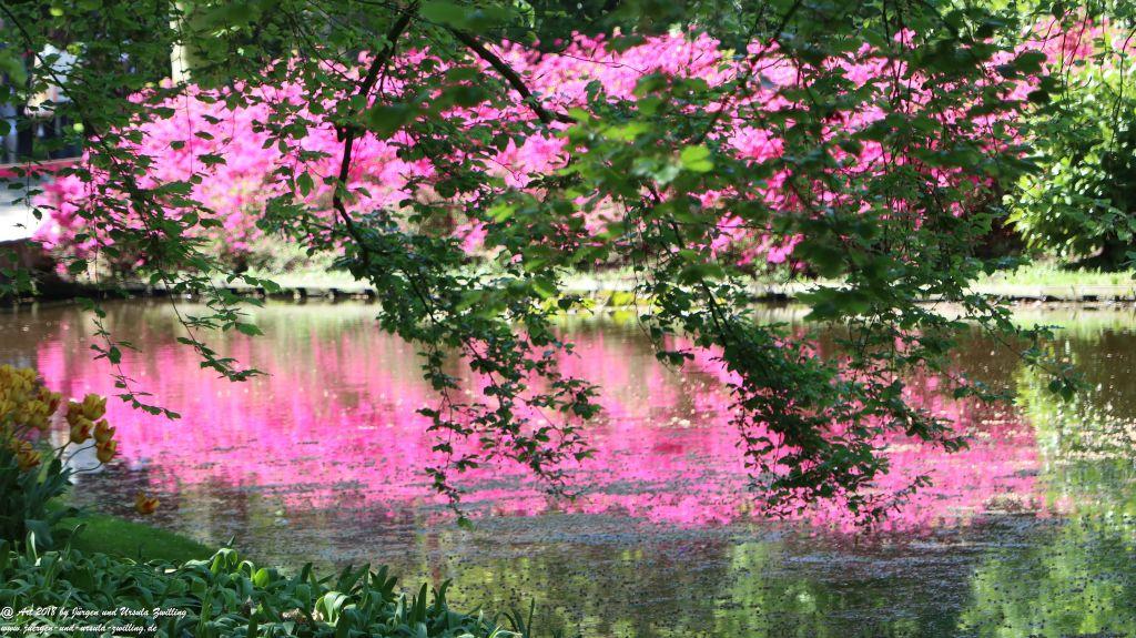 Keukenhof in Lisse Niederlande -Nordsee