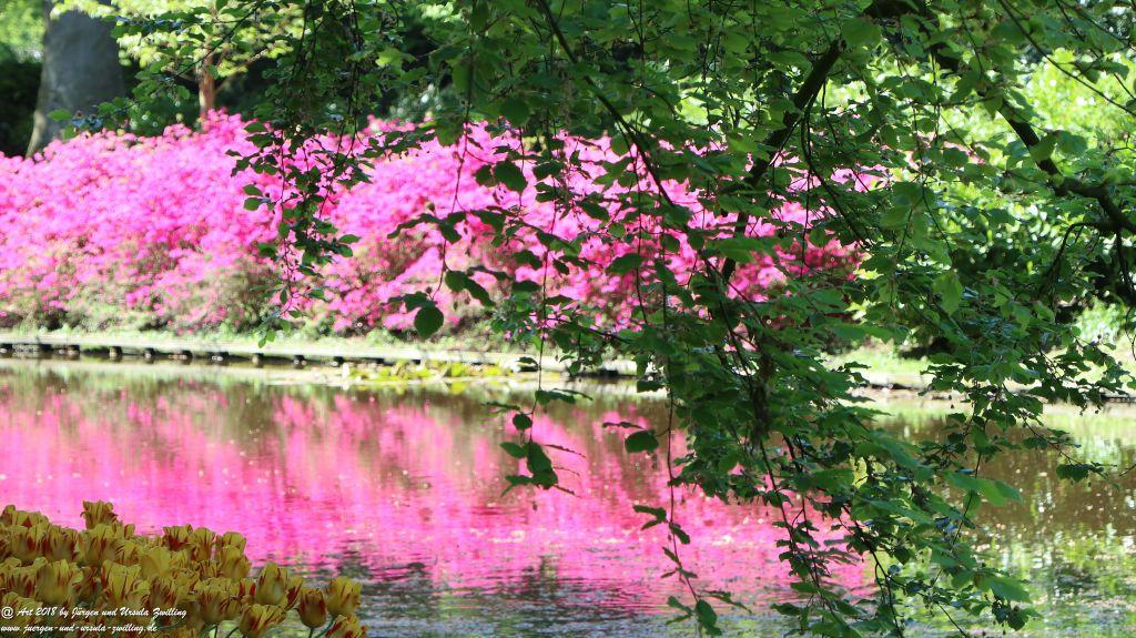 Keukenhof in Lisse Niederlande -Nordsee