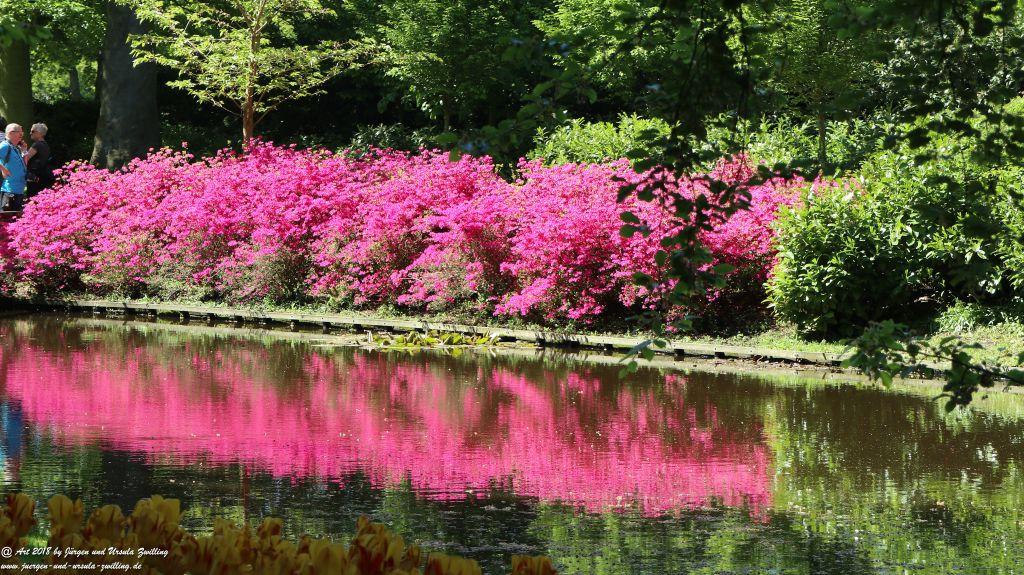 Keukenhof in Lisse Niederlande -Nordsee
