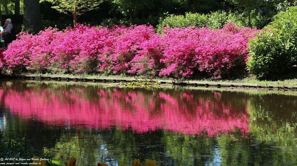 Keukenhof in Lisse Niederlande -Nordsee