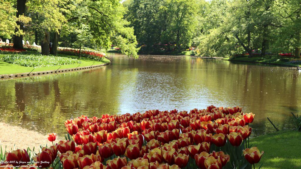 Keukenhof in Lisse Niederlande -Nordsee