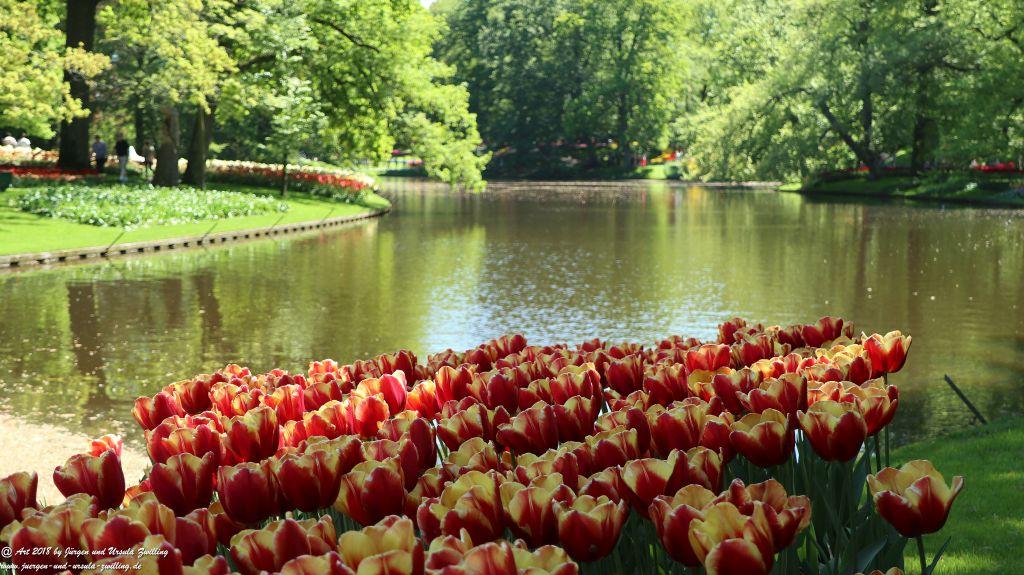 Keukenhof in Lisse Niederlande -Nordsee