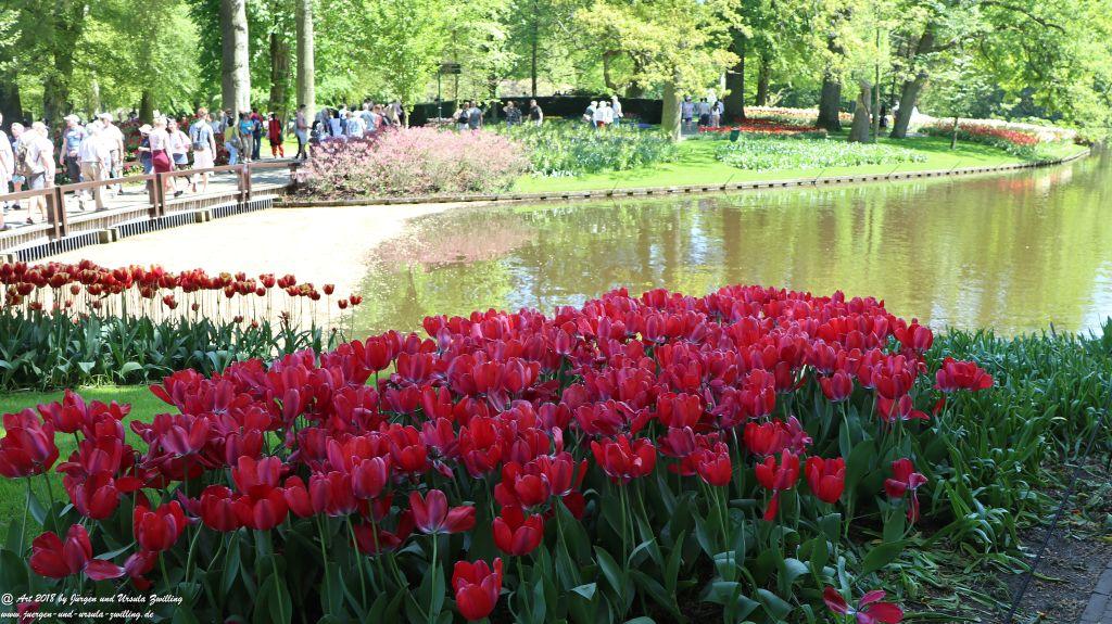 Keukenhof in Lisse Niederlande -Nordsee