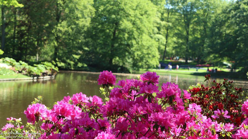 Keukenhof in Lisse Niederlande -Nordsee