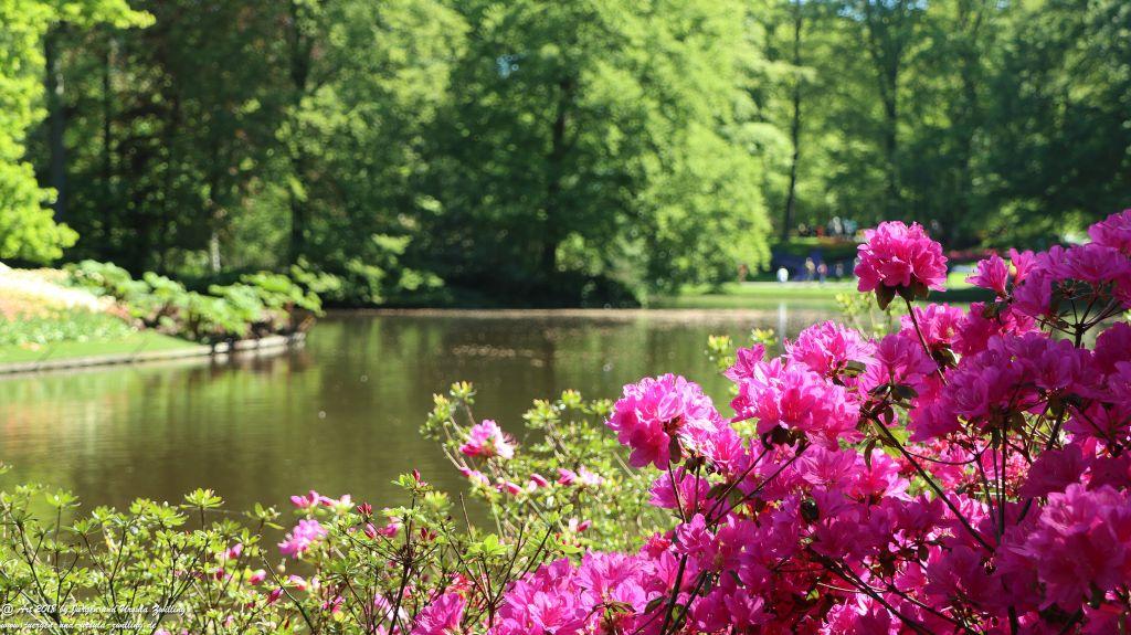 Keukenhof in Lisse Niederlande -Nordsee