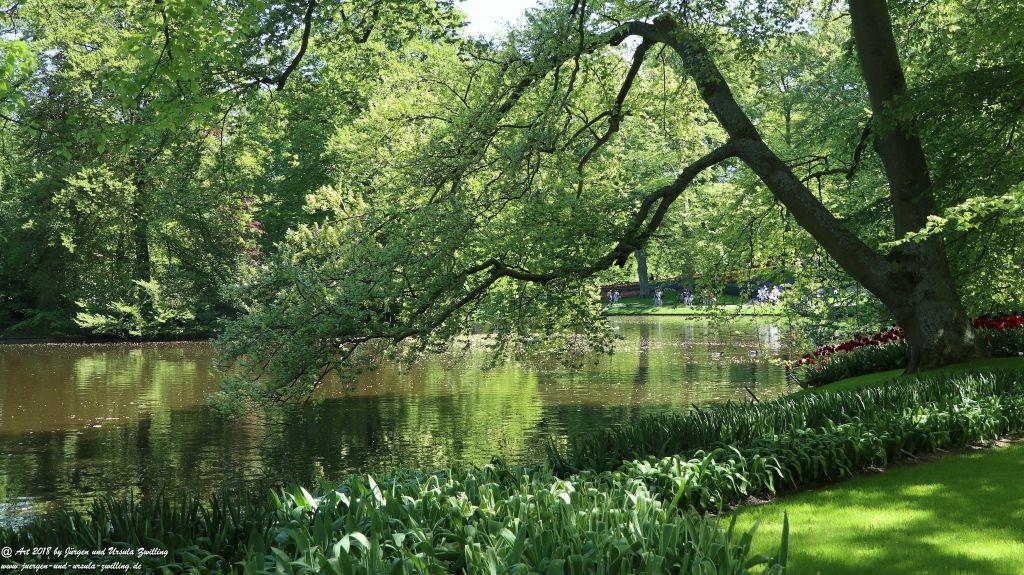 Keukenhof in Lisse Niederlande -Nordsee