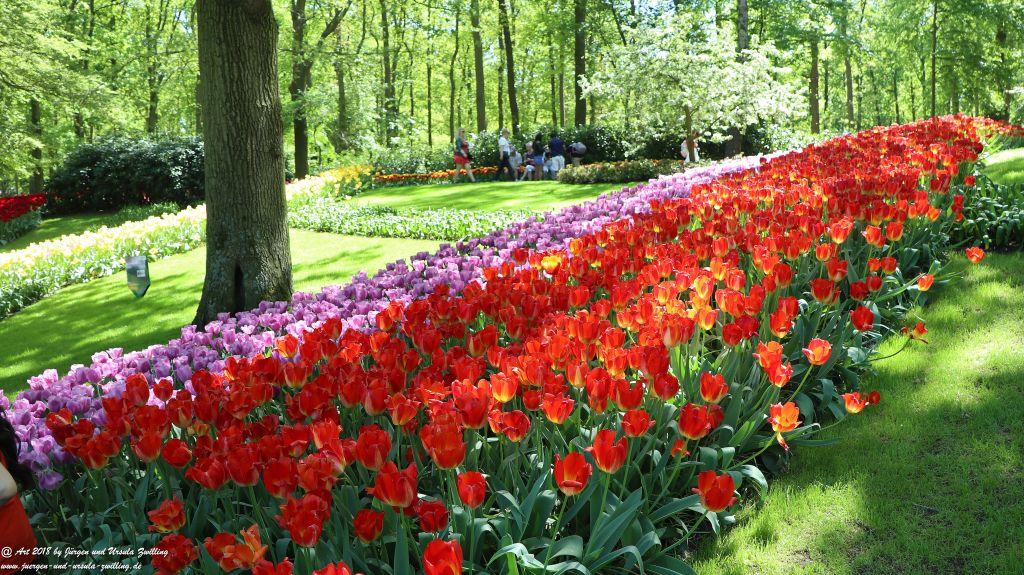 Keukenhof in Lisse Niederlande -Nordsee