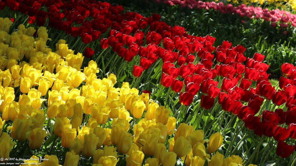 Keukenhof in Lisse Niederlande -Nordsee