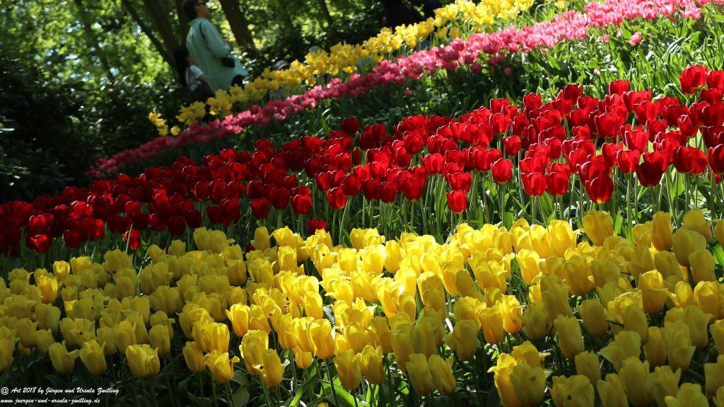 Keukenhof in Lisse Niederlande -Nordsee