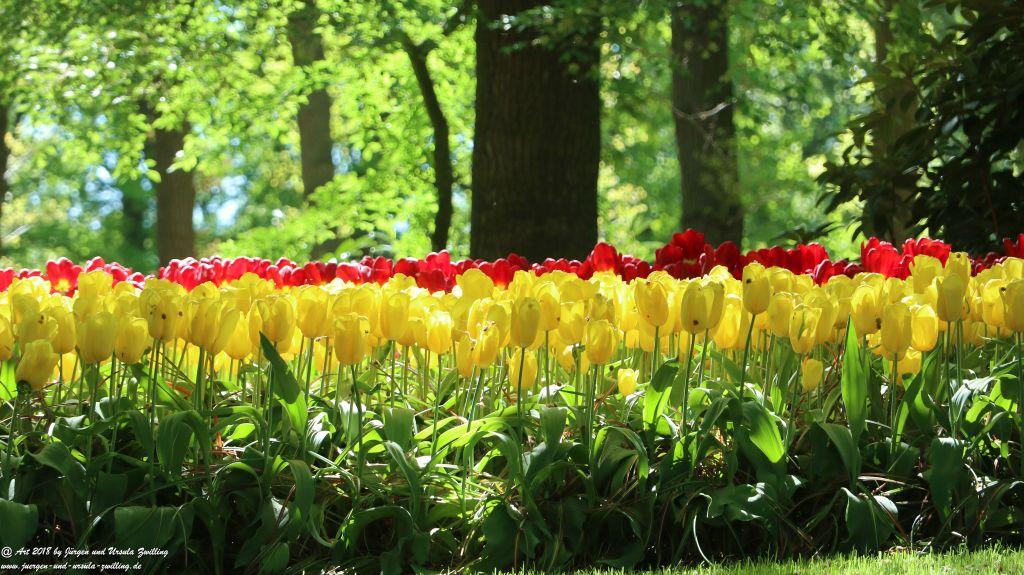 Keukenhof in Lisse Niederlande -Nordsee